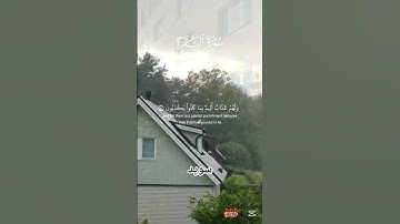 سورة البقرة #علاء_عقل #المصحف #القرآن_الكريم