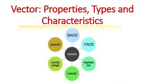 Chapter 2: Scalar and Vectors Product// SINDH TEXTBOOK CLASS 11 (FIRST YEAR).