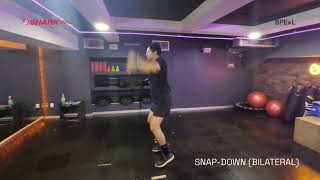 SNAP DOWN (BILATERAL)