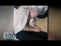 Shocking footage of restrained aged care residents prompts new regulations | 7.30