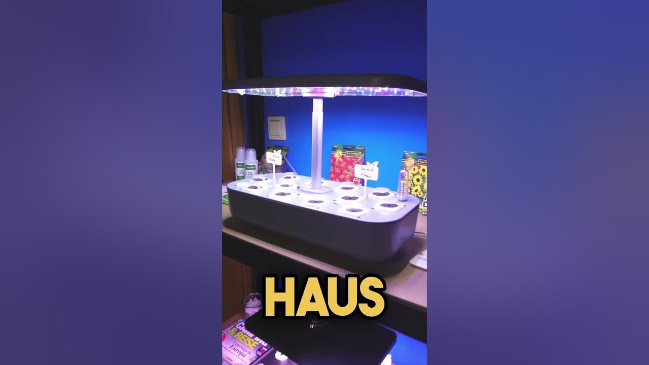 Hanf Indoor Gewächshaus YouTube