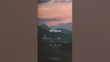فأكلا منها فبدت لهما سوآتهما - اسلام صبحي - سورة طه ج4