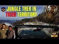 Nature walk in core tiger territory  walking safari in the mountains of jim corbett 4k  episode 2