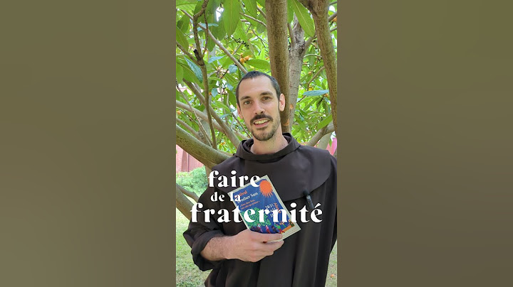 Fr. Théo t'invite au festival Brother Sun cet été