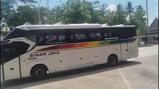 This bus hits different.#basuribussid #busmania 