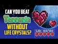 Can You Beat Terraria Without Using Life Crystals? | HappyDays