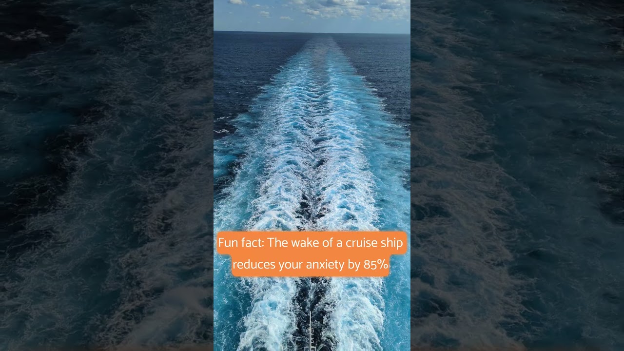 Science and your travel agent agree! #cruising #cruisingsecrets #cruisingscience #msccruises