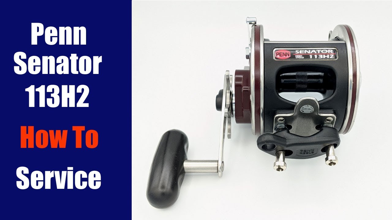 Penn Senator 4/0 113H2 Fishing Reel - How To Service 