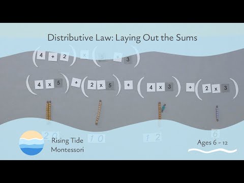 Distributive Law: Laying Out the Sums