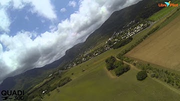 Libre Pilot CC3D Inverted Yawing Practise Quadcopter QUADI 300