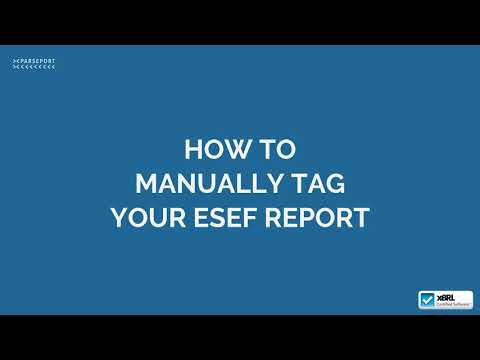 ParsePort XBRL Tagger for ESEF Tutorial [EN]