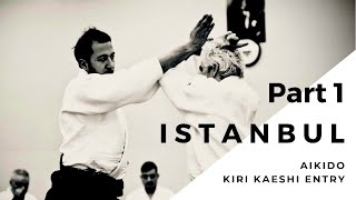 Aikido - Istanbul Bruno Gonzalez seminar Part 1