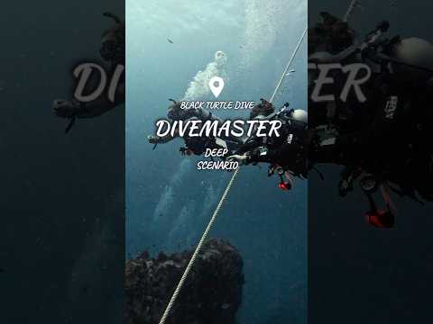 PADI Divemasters Go