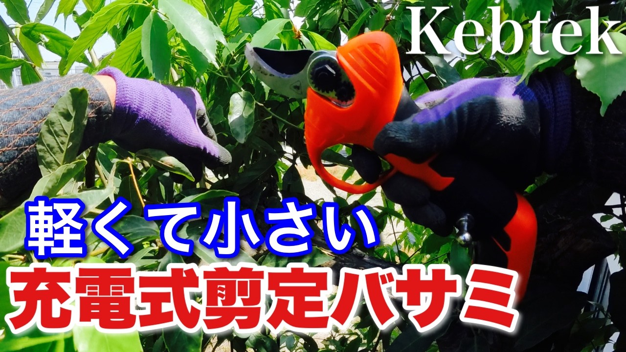 値下げさせていただきました下葉取り機　 東一 中古 下葉取り機 TFH – 農キング