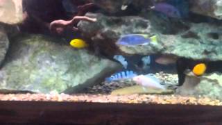 VID 20120919 145027
