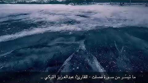 ‏من سورة فصلت ‏للقارئ/ عبدالعزيز التركي