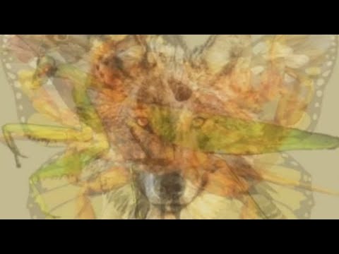 اكتشف شخصيتك حسب ماتراه من أول نظرة في الصورة