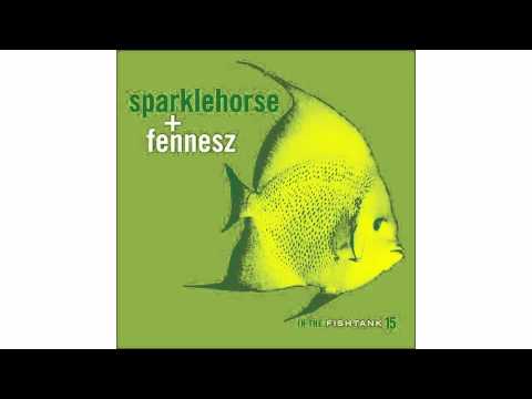 Sparklehorse + Fennesz - Goodnight Sweetheart - In The Fishtank 15