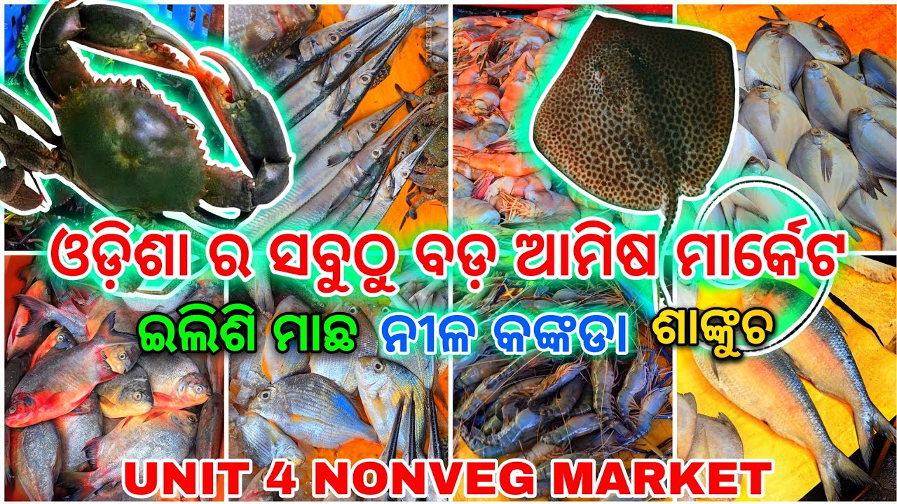 ODISHA'S BIGGEST NONVEG MARKET, 4 ନମ୍ବର ମାଛ ମାର୍କେଟ ଭୁବନେଶ୍ବର, Bhubaneswar Unit 4 fish market