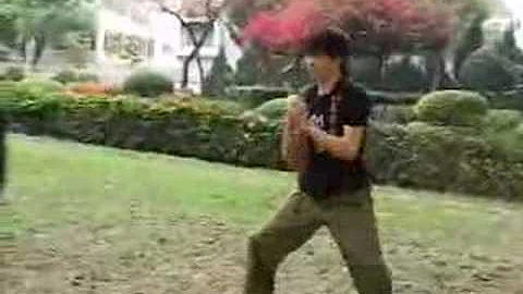 Jyuga tonglong (Chu gar tonglong / ) - Jeng Wan ()
