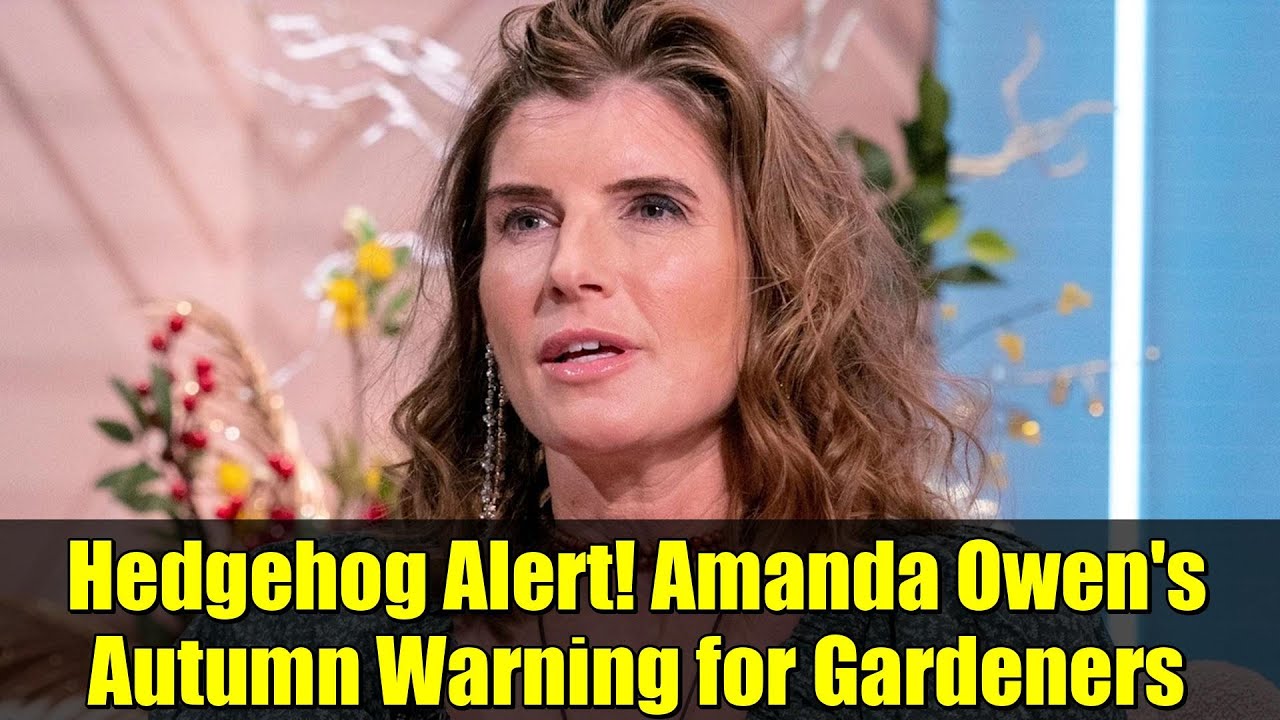 Внимание, ёж! Осеннее предупреждение для садоводов от Аманды Оуэн