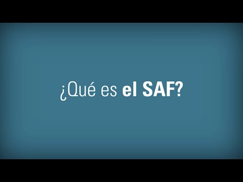 FAS FAQ 4, Spanish: What is FAS?
