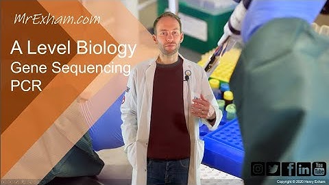 Genomes and PCR - A Level Biology