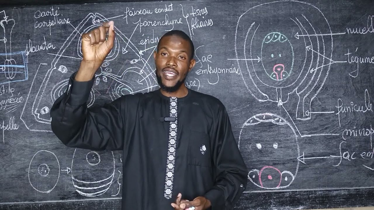 Cours Svt TS : la formation et la structure du sac embryonnaire