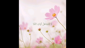 سورة الغاشيه (عبدالرحمن مسعد) #سورة_الغاشية #عبدالرحمن_مسعد #اكسبلور_explore #quran #الله #تلاوات