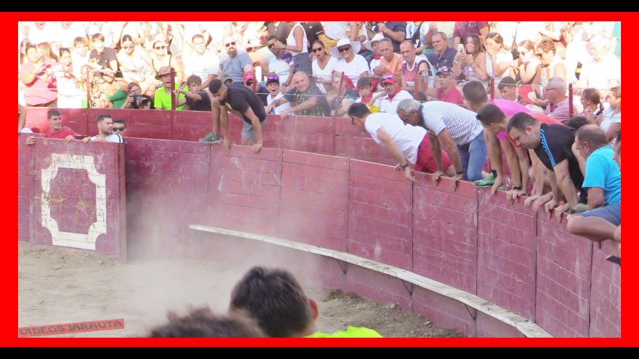 ARGUEDAS ( NAVARRA ) TARDE VACAS EN PLAZA ( JUEVES 10 AGOSTO 2023 ) GANAD.ARRIAZU