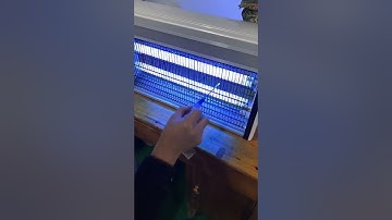 Commercial electric bug zapper