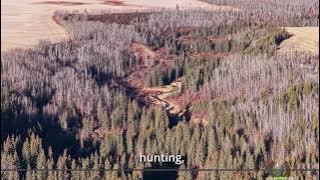 A2241783 - EPIC RECREATIONAL WILDERNESS MINUTES FROM ATHABASCA, AB.