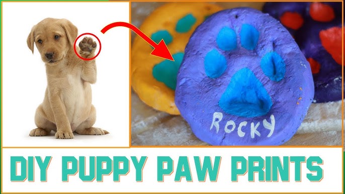 How To Make A Paw Print Photo Keepsake Of Your Dog - Youtube