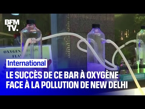 Face au fort taux de pollution à New Delhi, ce bar oxygène connait un certain succès