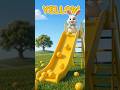 Learn Colors Red🔴, Yellow🟡, Blue🔵 & Green🟢 with Bunny 🐰 #shorts #nurseryrhymes #animation #cartoon