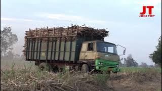 NYODREK TRUK GOPRAK MENOLAK PUNAH DI MASA TUANYA