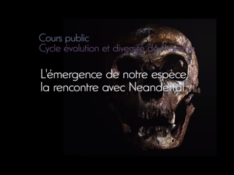 L'émergence de notre espèce, la rencontre avec Néandertal (1 ... Image 1
