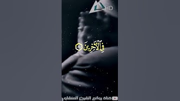 حالات واتس قران كريم | ترتيل وخشوع محمد صديق المنشاوي
