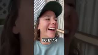 ПОПУГАЙ привёл своих друзей на кормежку