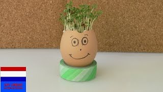 schattig eierhoofd met waterkers UPDATE