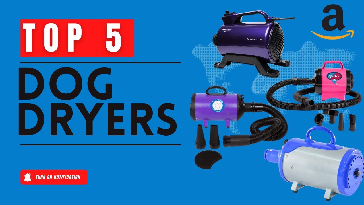 Best Dog Dryers On Amazon 2023 Top 5 Dog Dryers Review Best Budget