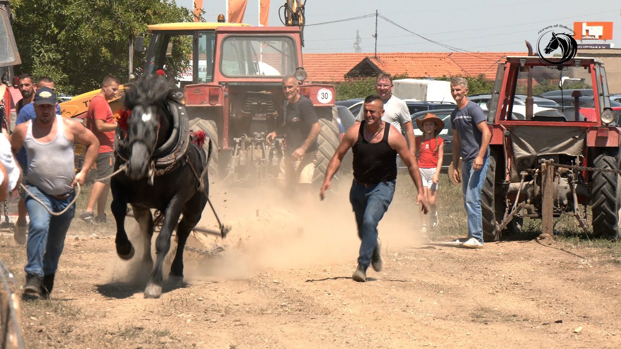 - TARZAN OD MEŠIĆA ŠAMPION LAKIH SAMACA U BIJELJINI -