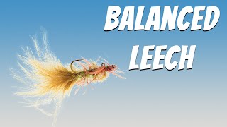 Balanced Leech Fly Pattern (Fly Tying Tutorial)
