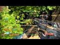 Destiny_20160308152139