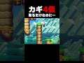 カギ4個取るだけなのにカギが取れない？【ふたりでマリオメーカー2】