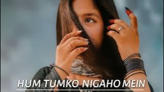 Hum Tumko Nigahon Mein [ Slowed   Reverb ]