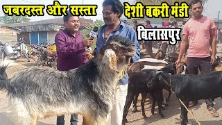 Sasta Deshi Bakri Mandi Shanichari Bazar Bilaspur Cg।देशी बकरी का सस्ता बाजार शनिचरी बिलासपुर छ०ग०