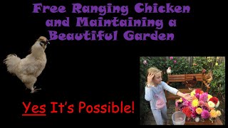 Free Ranging Chickens and Maintaining a Beautiful Garden by Future Farmers 1,336 views 2 years ago 31 minutes