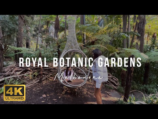 4K HD |  Royal Botanic Gardens royal botanic gardens Melbourne | iamkloklo Vlog class=