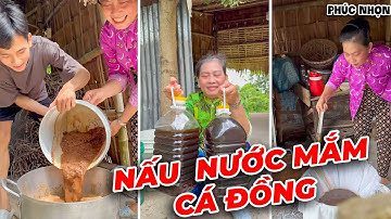Mẹ Và Nhọn Nấu Nước Mắm Cá Đồng – Đậm Đà, Ngon Ngất Ngây, Đảm Bảo Sức Khỏe! | Phúc Nhọn